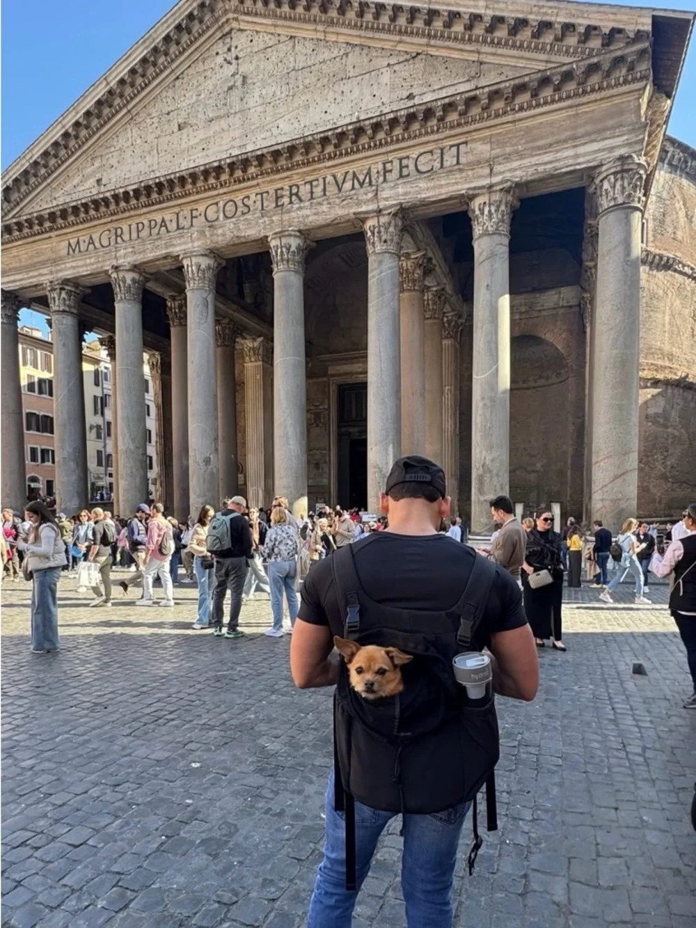 ComfortFit Hands-Free Dog Carrier Backpack - Black